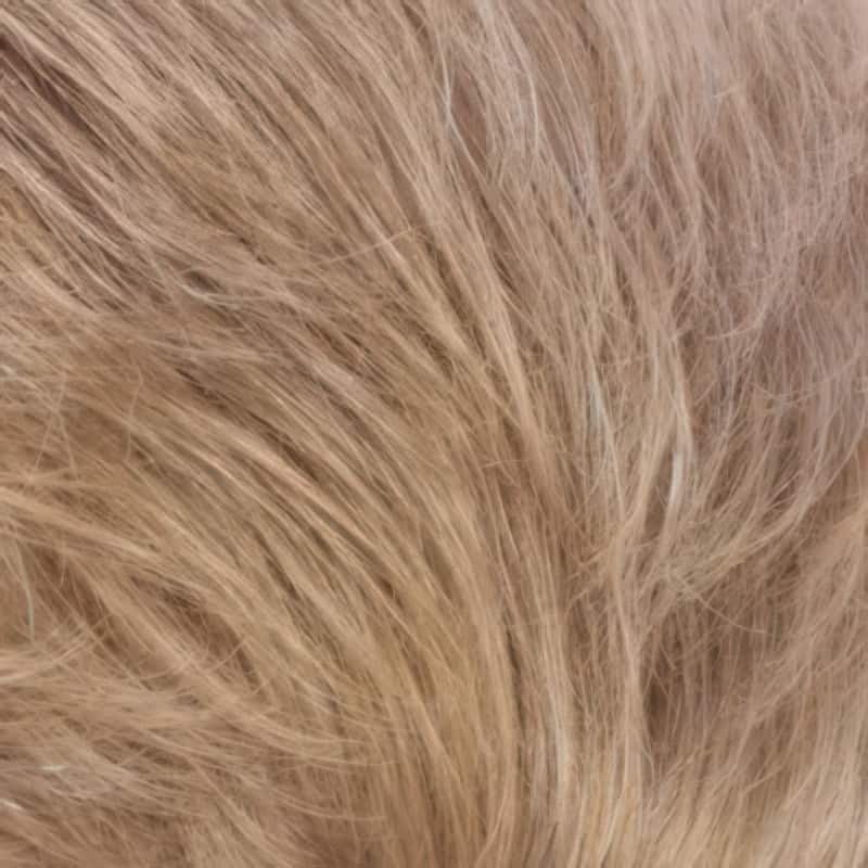 Eva Gabor Wig Color Dark Chocolate Mist