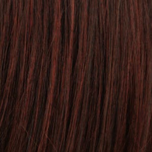 Eva Gabor Wig Color Dark Chocolate Mist