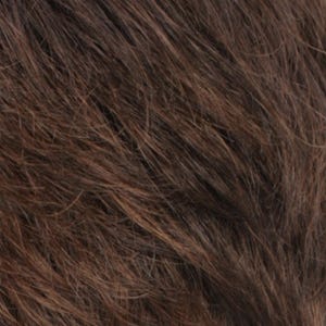 Eva Gabor Wig Color Dark Chocolate Mist