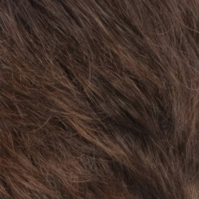 Eva Gabor Wig Color Dark Chocolate Mist