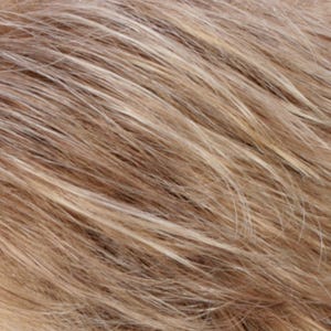 Eva Gabor Wig Color Dark Chocolate Mist