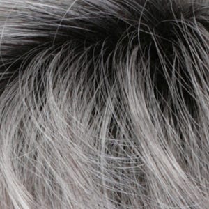 Eva Gabor Wig Color Dark Chocolate Mist