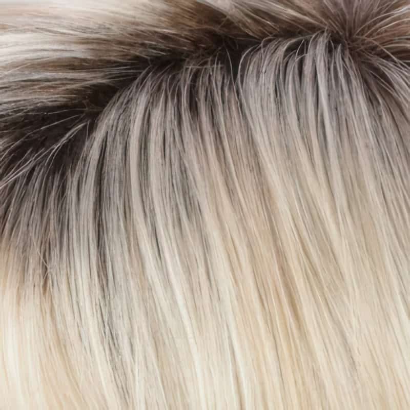 Eva Gabor Wig Color Dark Chocolate Mist