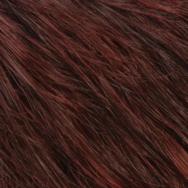 Eva Gabor Wig Color Dark Chocolate Mist