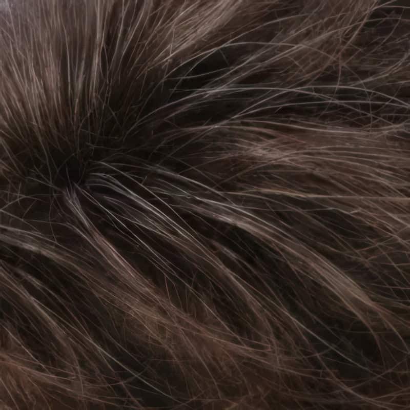 Eva Gabor Wig Color Dark Chocolate Mist