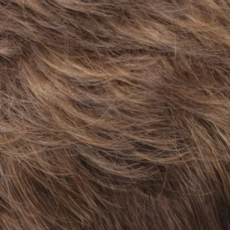 Eva Gabor Wig Color Dark Chocolate Mist