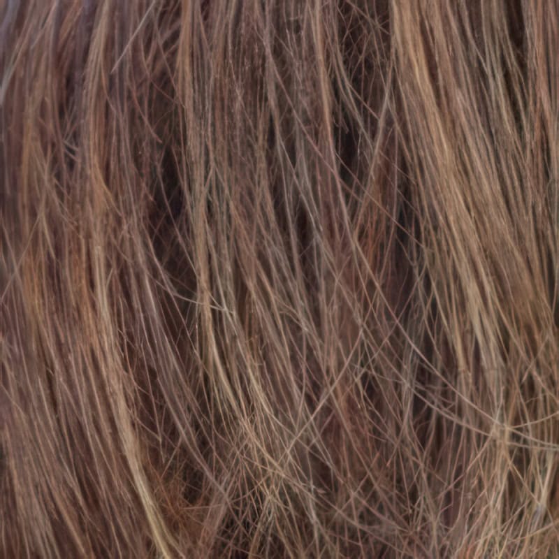 Eva Gabor Wig Color Dark Chocolate Mist
