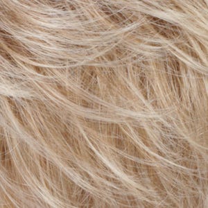 Eva Gabor Wig Color Dark Chocolate Mist