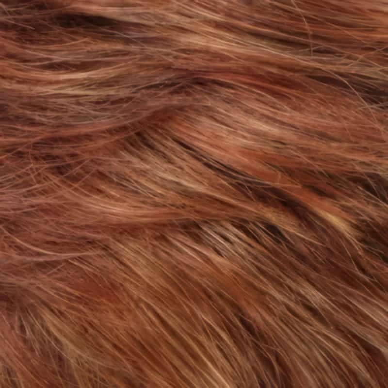 Eva Gabor Wig Color Dark Chocolate Mist