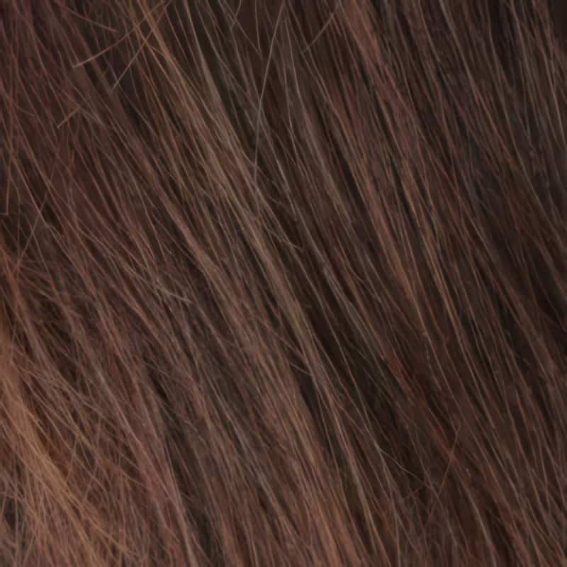 Eva Gabor Wig Color Dark Chocolate Mist