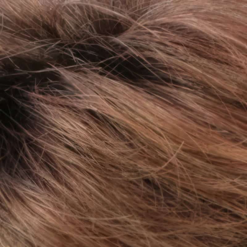 Eva Gabor Wig Color Dark Chocolate Mist