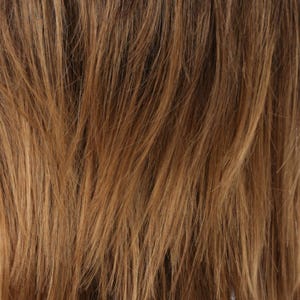 Eva Gabor Wig Color Dark Chocolate Mist