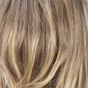 Eva Gabor Wig Color Dark Chocolate Mist