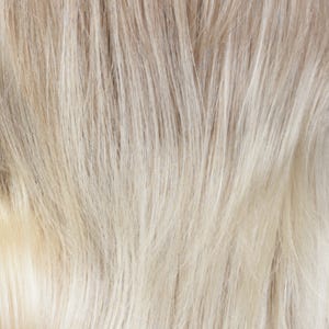 Eva Gabor Wig Color Dark Chocolate Mist
