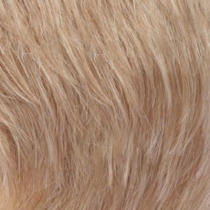 Eva Gabor Wig Color Dark Chocolate Mist