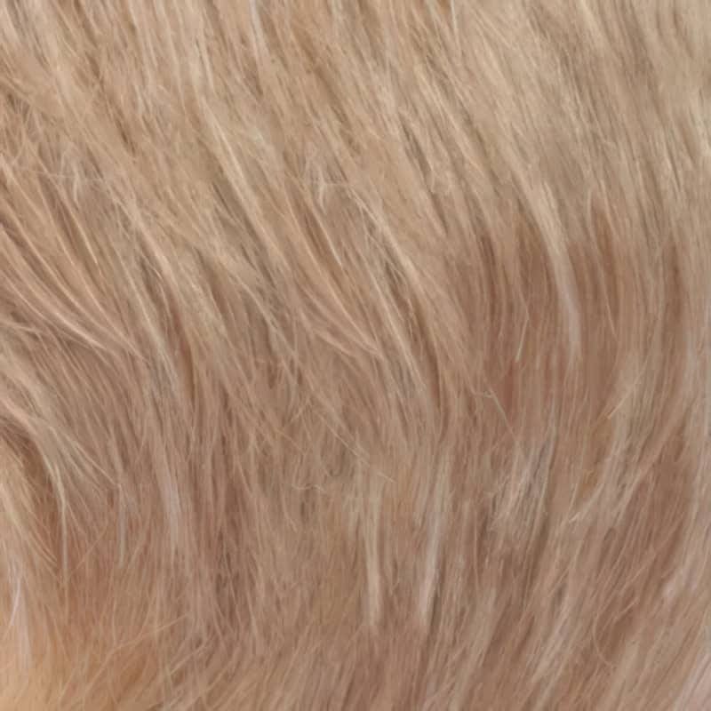 Eva Gabor Wig Color Dark Chocolate Mist