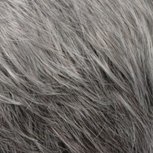 Eva Gabor Wig Color Dark Chocolate Mist