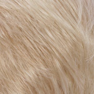 Eva Gabor Wig Color Dark Chocolate Mist