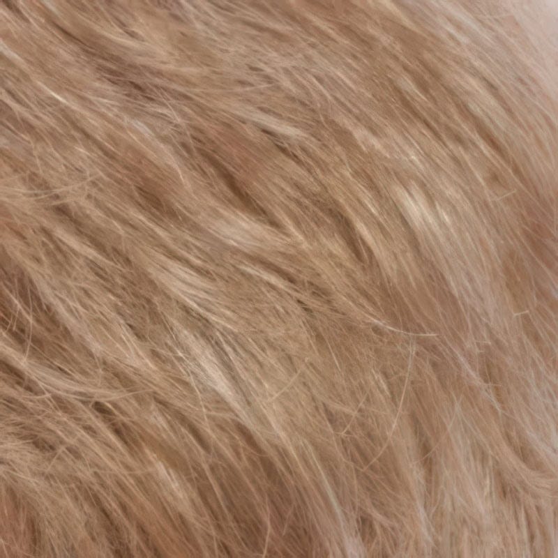 Eva Gabor Wig Color Dark Chocolate Mist