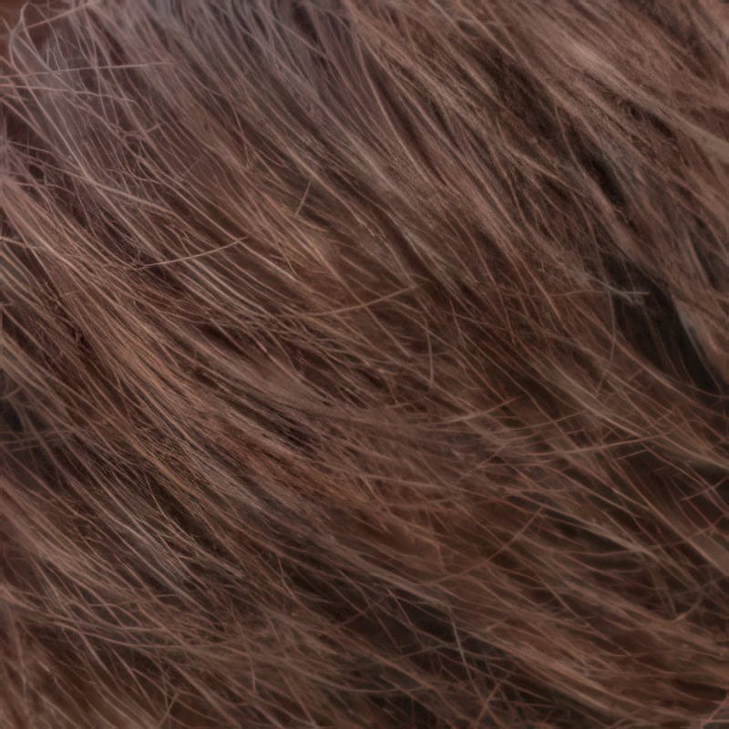 Eva Gabor Wig Color Dark Chocolate Mist