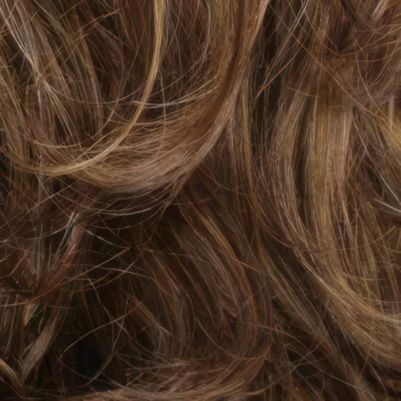 Eva Gabor Wig Color Dark Chocolate Mist