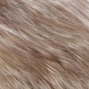 Eva Gabor Wig Color Dark Chocolate Mist