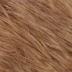Eva Gabor Wig Color Dark Chocolate Mist