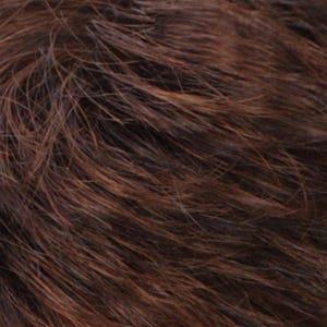 Eva Gabor Wig Color Dark Chocolate Mist