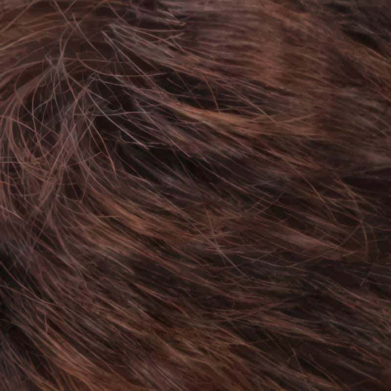 Eva Gabor Wig Color Dark Chocolate Mist