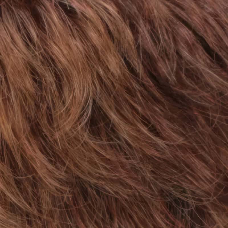 Eva Gabor Wig Color Dark Chocolate Mist
