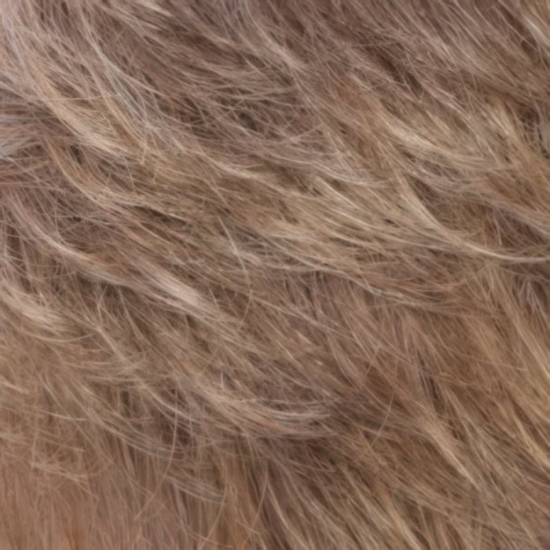 Eva Gabor Wig Color Dark Chocolate Mist
