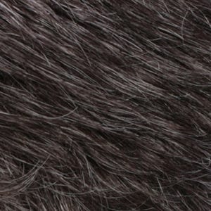 Eva Gabor Wig Color Dark Chocolate Mist