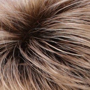 Eva Gabor Wig Color Dark Chocolate Mist