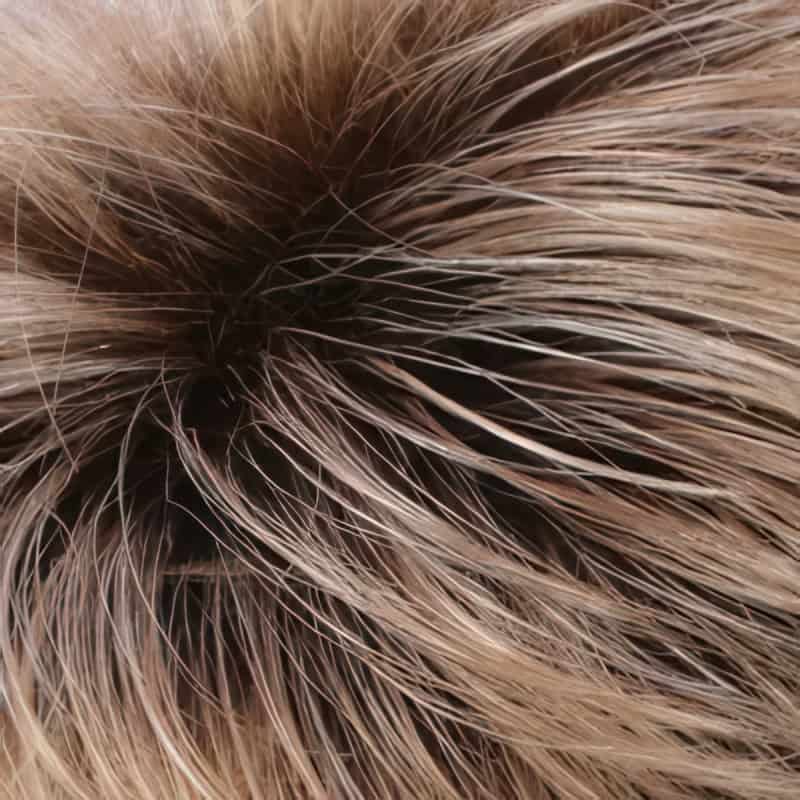 Eva Gabor Wig Color Dark Chocolate Mist