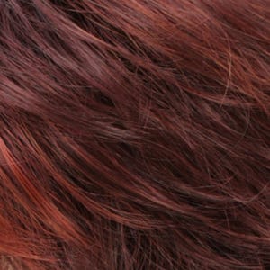 Eva Gabor Wig Color Dark Chocolate Mist