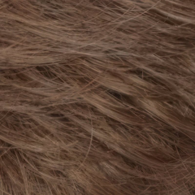 Eva Gabor Wig Color Dark Chocolate Mist