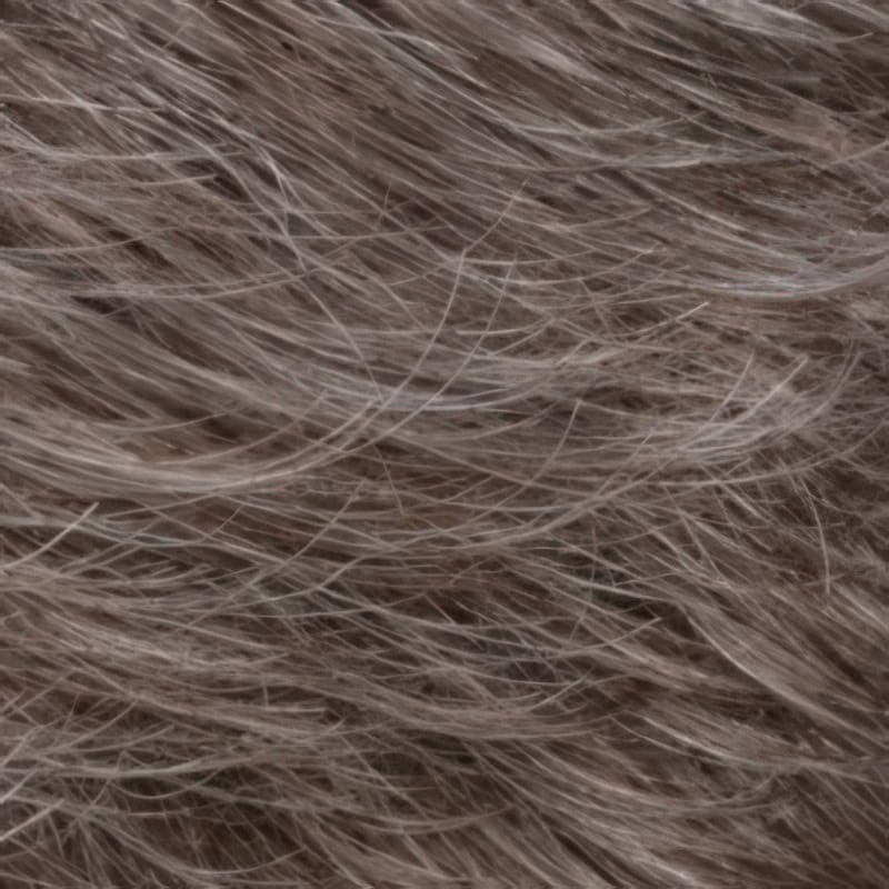Eva Gabor Wig Color Dark Chocolate Mist