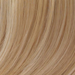 Eva Gabor Wig Color Dark Chocolate Mist