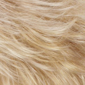 Eva Gabor Wig Color Dark Chocolate Mist