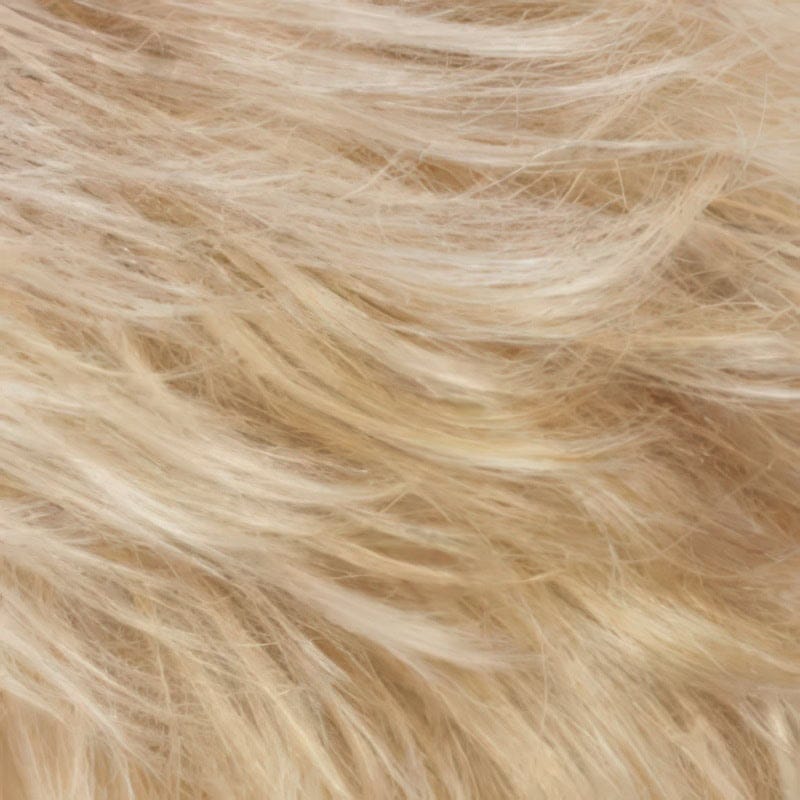 Eva Gabor Wig Color Dark Chocolate Mist