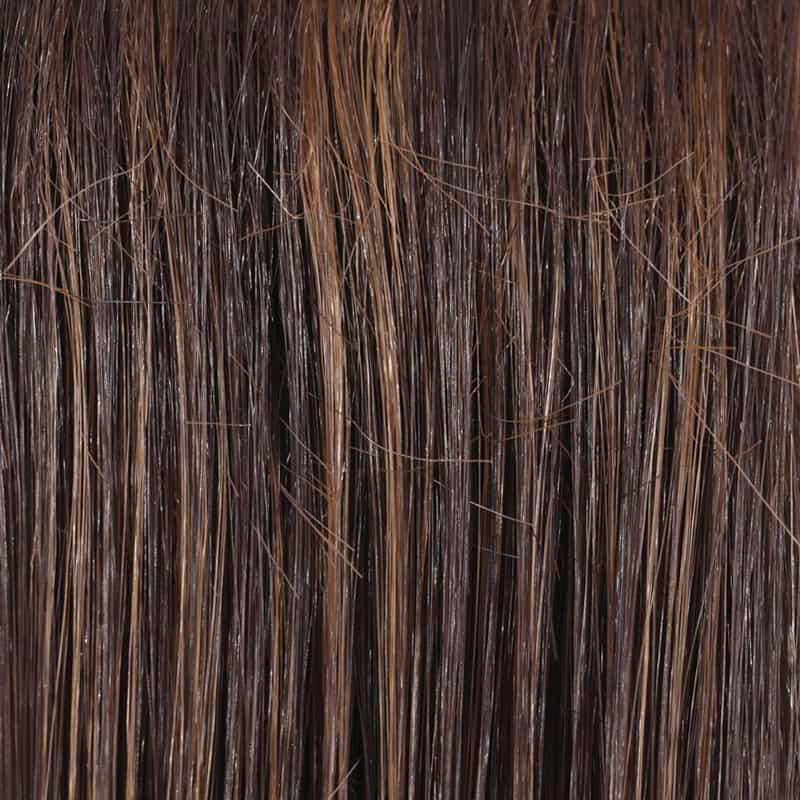 Eva Gabor Wig Color Dark Chocolate Mist