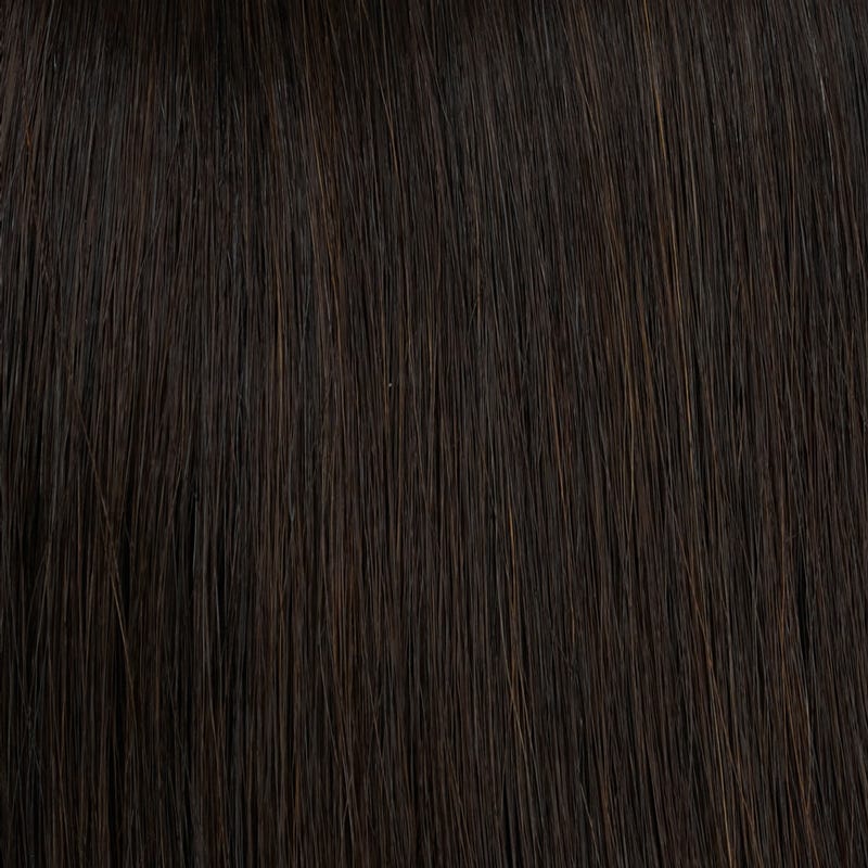 Eva Gabor Wig Color Dark Chocolate Mist
