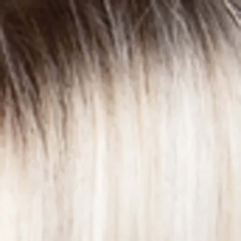 Eva Gabor Wig Color Dark Chocolate Mist