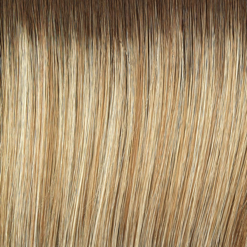 Eva Gabor Wig Color Dark Chocolate Mist