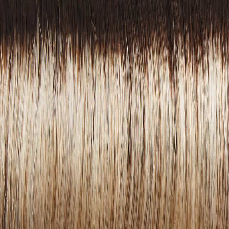 Eva Gabor Wig Color Dark Chocolate Mist