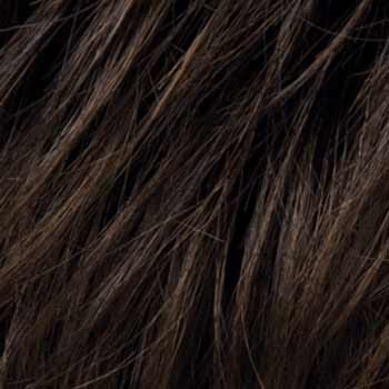 Eva Gabor Wig Color Dark Chocolate Mist
