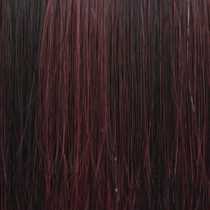 Eva Gabor Wig Color Dark Chocolate Mist