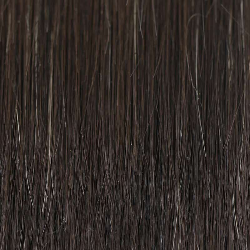 Eva Gabor Wig Color Dark Chocolate Mist