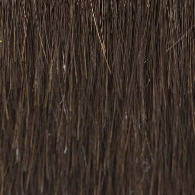 Eva Gabor Wig Color Dark Chocolate Mist