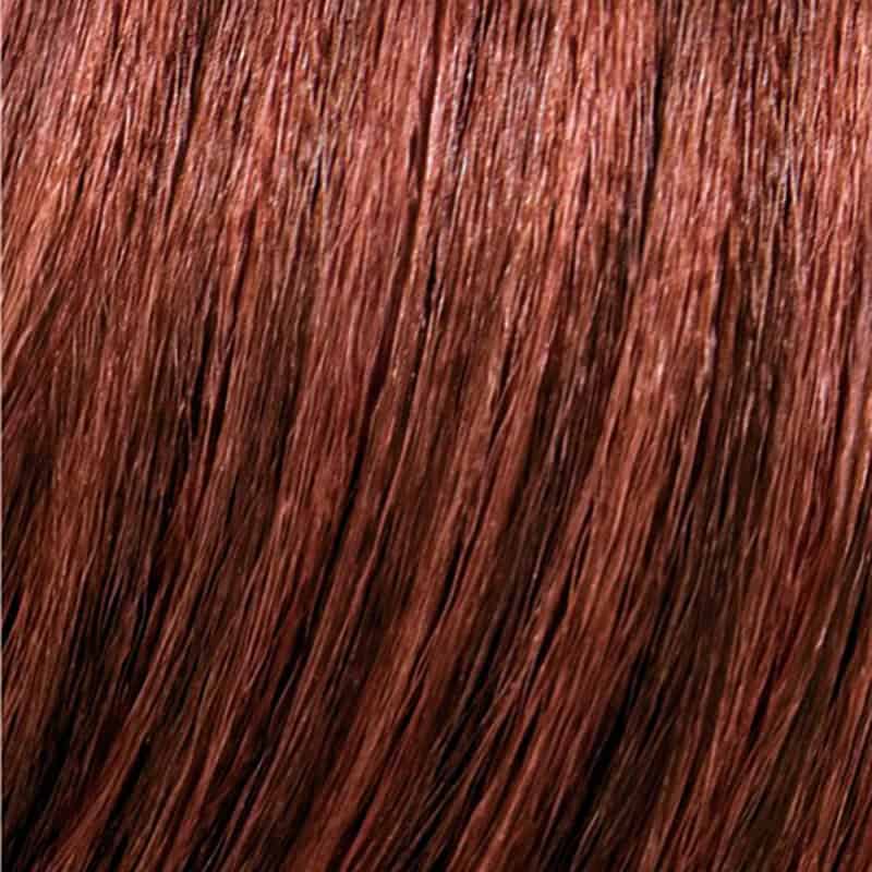 Eva Gabor Wig Color Dark Chocolate Mist